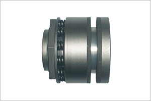 Torque Limiter