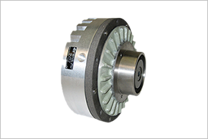 Pneumatic Brake